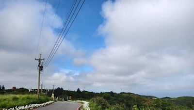 苗栗後龍好望角野白合沿路綻放 彷彿列隊迎賓