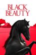 Black Beauty (1971 film)