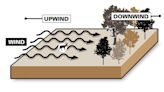 Downwind vs Upwind: The Ultimate Guide to Playing the Wind