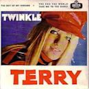 Terry (Twinkle song)