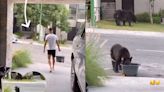 Maxi Meza, jugador de Rayados, le sirvió agua a un grupo de osos ante la ola de calor en Monterrey