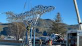 'She touched so many people': Monument to Jennifer Casey nearly finished