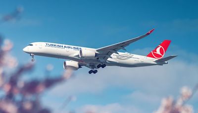 Plane makes emergency landing after pilot dies on Turkish Airlines flight