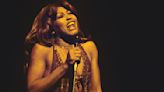 Tina Turner Fans Flock to Her Tennessee Museum Where the Her Iconic Outfits Are Now on View