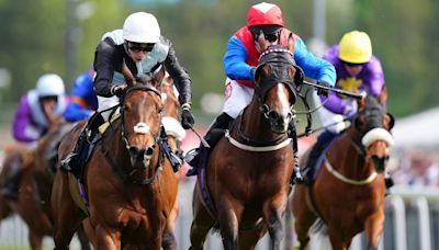 Northumberland Plate: Horse-by-horse guide to Newcastle's feature including a verdict