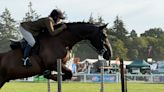 In pictures: New Forest's country show under way