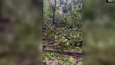 RAW: HURRICANE BERYL/DAMAGE IN PLAYA DEL CARMEN