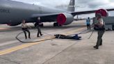 Big alligator wrangled on runway at MacDill Air Force Base in Tampa