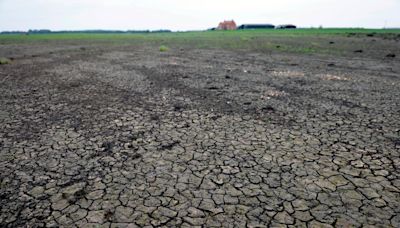 Extreme weather around the world risks boosting food bills