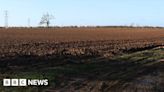 Lincolnshire solar farm plan rejected over food-growing concerns