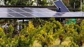 Pymes podrán acceder a créditos de hasta $120 millones para instalar paneles solares | Economía