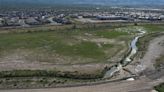 Reno City Council approves temporary emergency fencing for Virginia Range wild horses