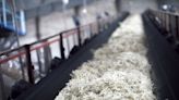 Ukraine’s Astarta Targets More Sugar Sales Outside EU Amid Curbs