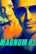 Magnum, P.I.