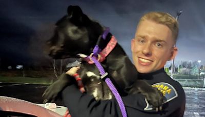 ISP on 'paw patrol' with dog rescue on Indiana Toll Road