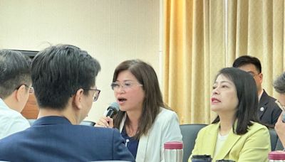 《新住民基本法》審查麥玉珍點名她引戰！ 羅美玲：我從不會否定其他委員｜壹蘋新聞網