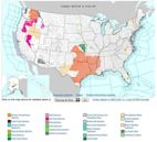 Severe weather terminology (United States)