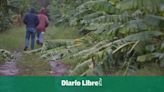 Más de dos mil tareas de tierra de productos agropecuarios afectadas por ventarrón en Montecristi
