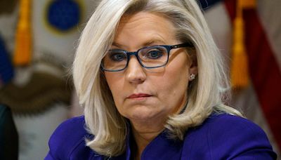 Liz Cheney rips McConnell over Trump meeting: ‘History will remember the shame’