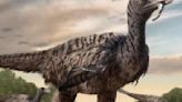 Descubren huellas de un velociraptor de cinco metros en China