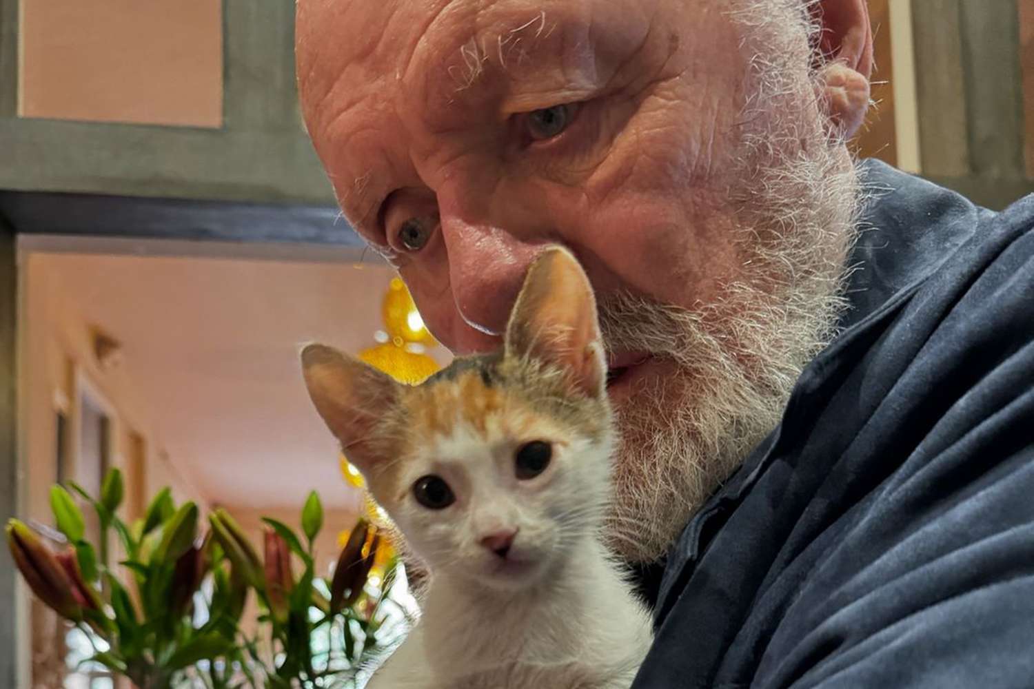 Anthony Hopkins Cuddles Beautiful Cat in Sweet Images from Morocco: ‘Love’