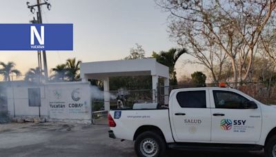 No para la lucha contra el mosco: Anuncian fumigación en Mérida y otros municipios