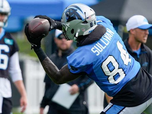 Carolina Panthers make roster moves