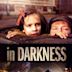 In Darkness (2011 film)