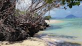 Kahala property collapses onto shoreline, blocking beachgoers | Honolulu Star-Advertiser