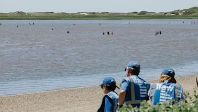 Rescuers make progress after more than 100 Atlantic white-sided dolphins stranded off Cape Cod, Massachusetts