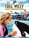 Free Willy 4: Escape from Pirate's Cove