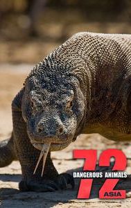 72 Dangerous Animals: Asia