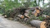 After the storms: Local governments now working to clear tree debris from sides of roads