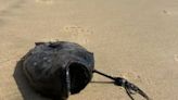 Bizarre jet-black ‘monster’ fish washes up on California shore