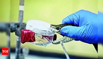 Affordable Antidote for Cobra Venom - Heparin Study | Bengaluru News - Times of India