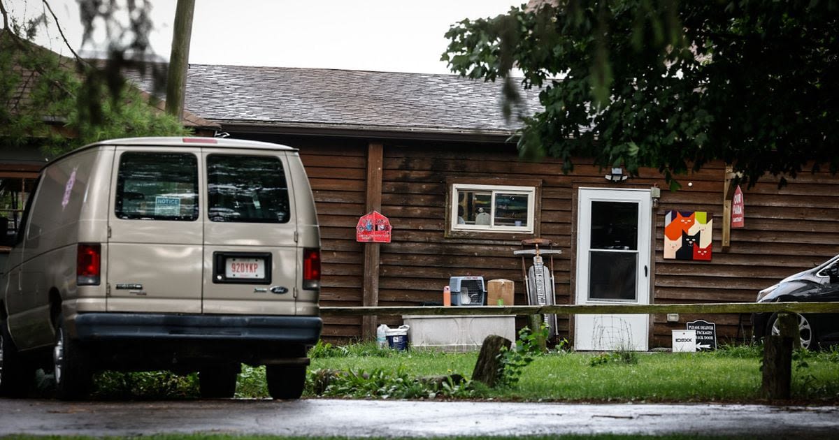 43 cats removed from local animal rescue due to unsanitary conditions, overcrowding