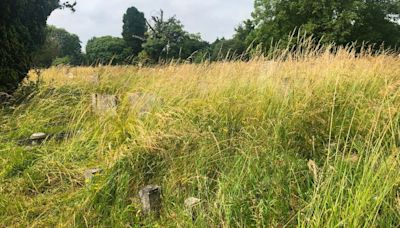 Cambridge family says cemetery looks like 'disused allotment' as grass covers graves