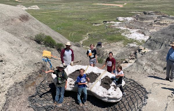 Three boys discovered teenage T. rex fossil in northern US: 'Incredible dinosaur discovery'