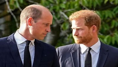 Prince William turns too rude for Prince Harry; ‘damaged generation'