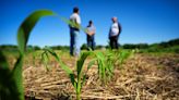 Land O’Lakes unit plays matchmaker for climate-conscious food companies and farmers