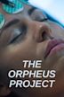 The Orpheus Project