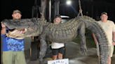 ‘Gigantesco cocodrilo’. Cazan un monstruo de 625 libras y 13 pies en lago de Carolina del Sur