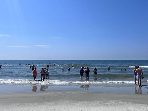 Shark bite reported at Hilton Head Island resort is first reported shark bite of year on island