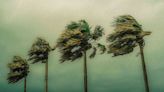 How wind shear impacts hurricanes during La Niña