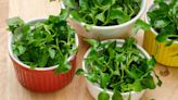 Watercress Benefits: How It Can Help Boost Weight Loss + More