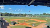 Leesburg baseball: Lightning toss one-hitter in season-opening win against Rats