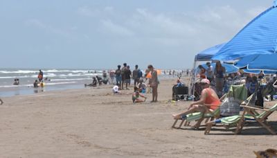 Four injured in Fourth of July shark attacks in Texas, Florida