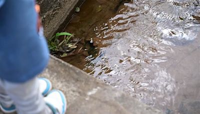 Two boys drown in rainwater-filled ditch in northeast Delhi