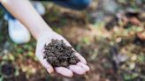 How To Identify Your Soil Type