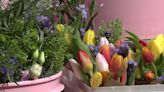 Rockford Art Museum holds Flower Flash event for art, fashion fundraiser